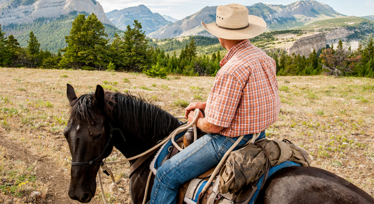 USA Montana Cowboy im Sattel Rocky Mountain Front Foto Montana Office of Tourism